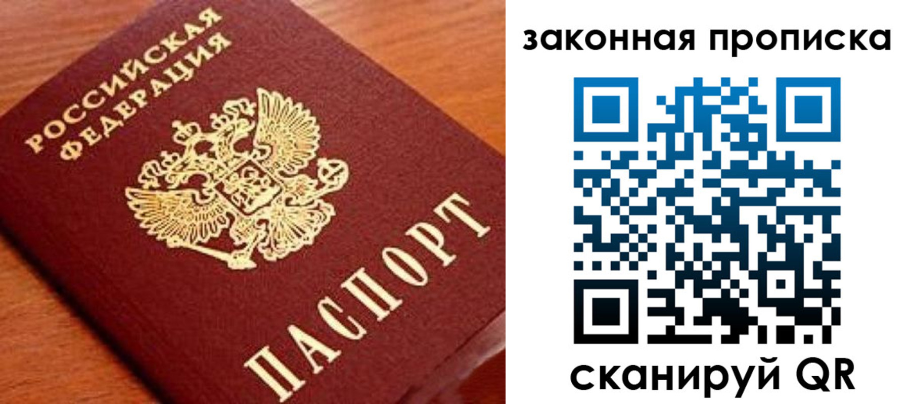 прописка в Вольске